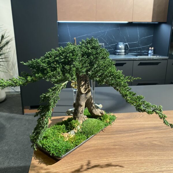 842C0C95-A1F4-432D-B319-8C077811544B