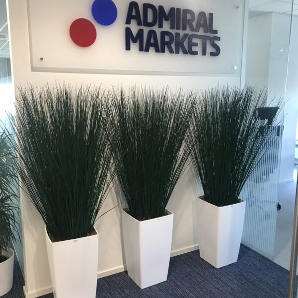 8DE69757-87A4-43F5-9016-F41BBD903813