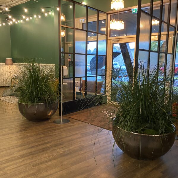 9D6CA87C-4746-48A0-9C03-E540D46F9C7A