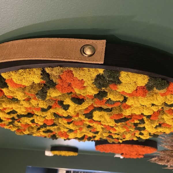 AFBBE39F-0319-4F2B-B42E-15207835F34D