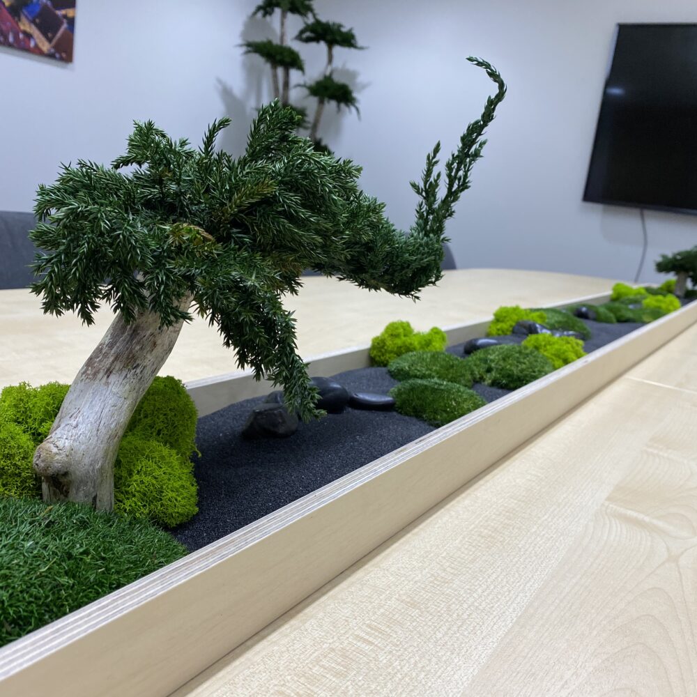 Säilitatud puud. Eritellimus. Forgreenerlife.com