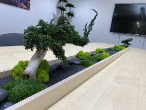 Säilitatud puud. Eritellimus. Forgreenerlife.com