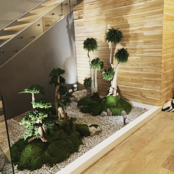 Säilitatud puud. Eritellimus. Forgreenerlife.com