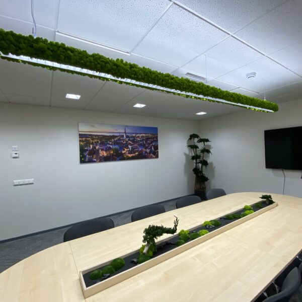 B83B02B6-921A-478C-AF27-6E939786CB47