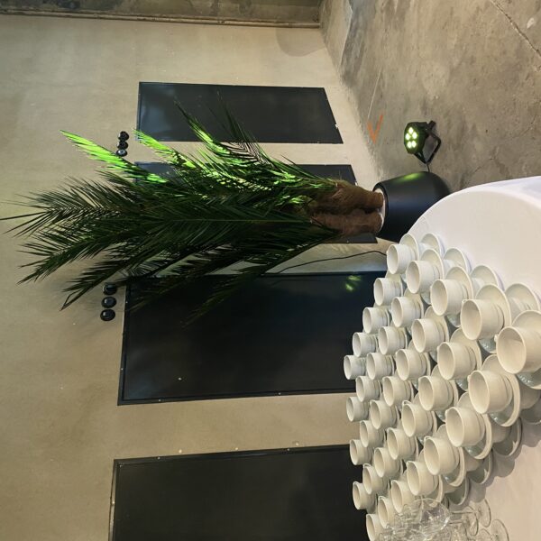 C2299D5D-666D-4B77-B5FF-4D94ED6E9093