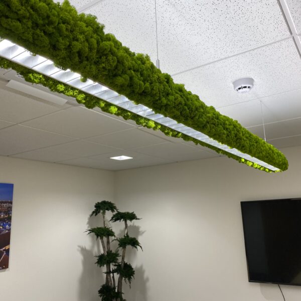 D86C4F8F-0EBA-4E82-A749-7C1916E48820