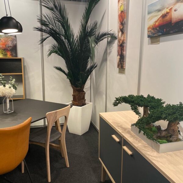 D90BAC3F-ED11-4F35-A7FE-3D448233B7A2