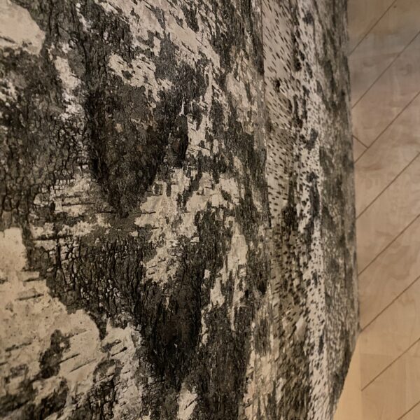 E27DB954-0335-4C9E-99FF-B28D98812D7A