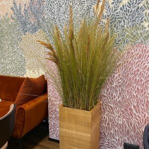 Taimede ja kõrreliste kastid. Kunst ja säilitatud taimed. Forgreenerlife.com