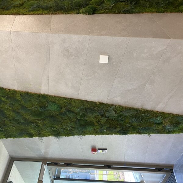 EF0685C4-ECA7-4FF5-9D59-325810FA64D4