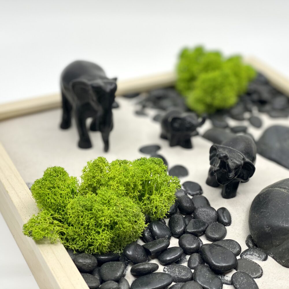 4A49E395-9A4D-400E-9511-16FA3E013572