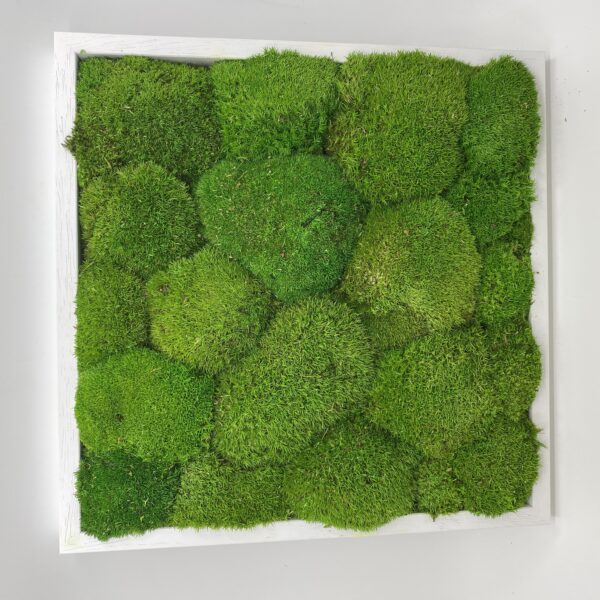 719F33D2-37A3-44A9-B33F-518A61B6190F