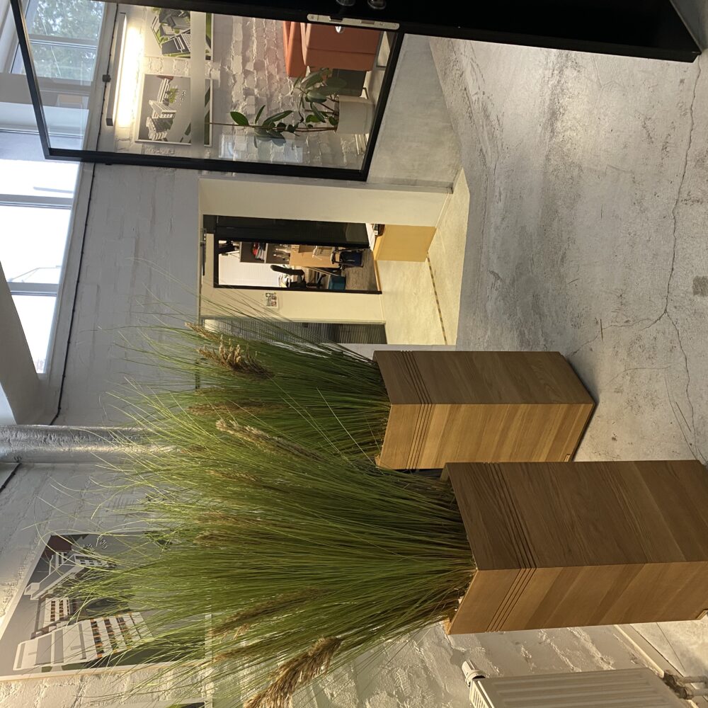 Taimede ja kõrreliste kastid. Kunst ja säilitatud taimed. Forgreenerlife.com