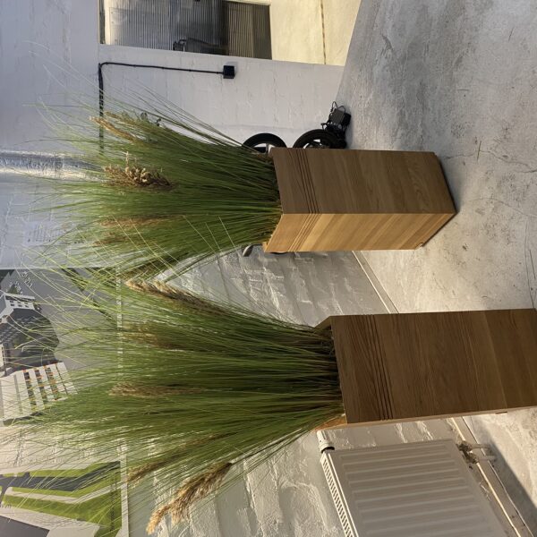 430BA78B-94F5-4225-91DC-279E37A8F9ED