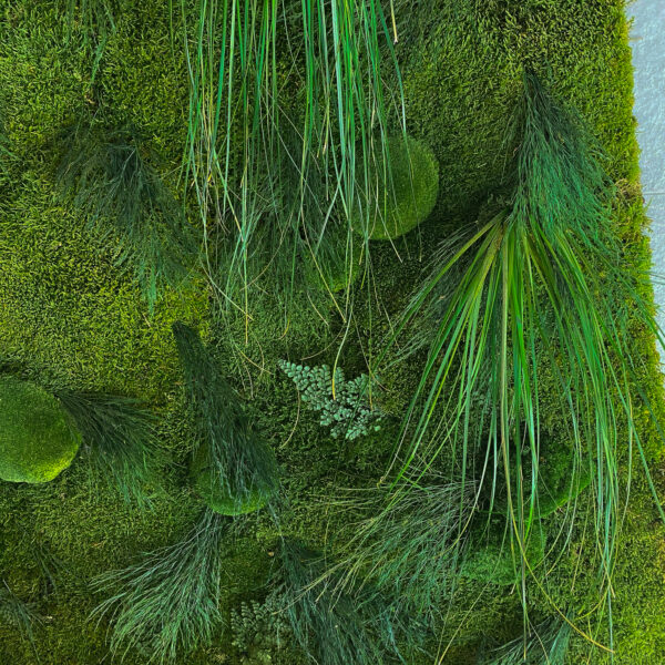 118982711_1588358028008641_2837104619563074268_n