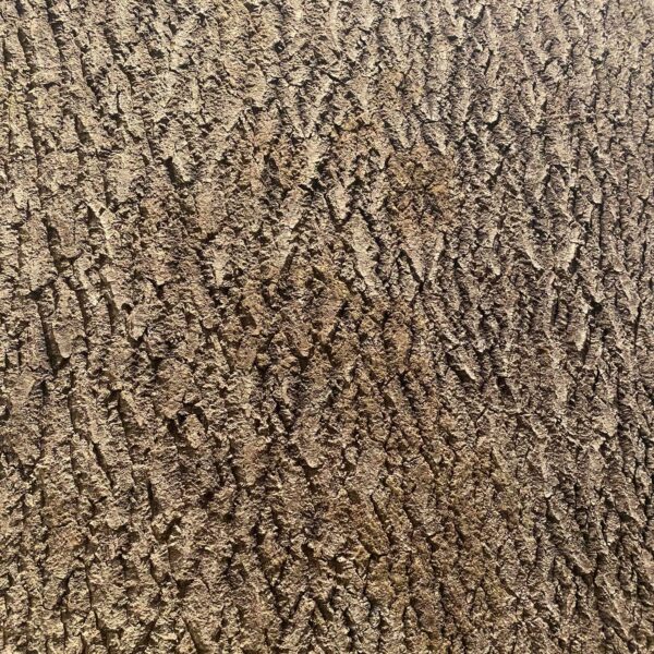 243702698_549524012820883_3008653394250744526_n