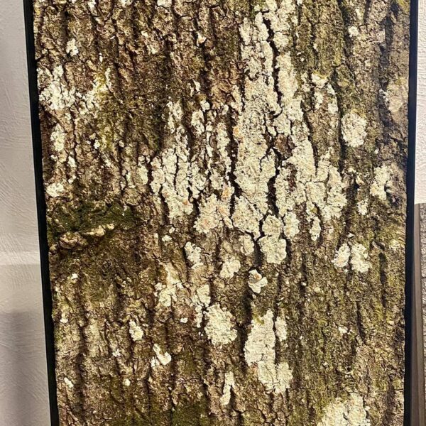 244384448_4495882427099488_5652641173297243607_n (1)