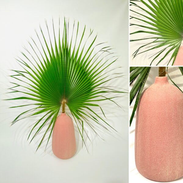 998B4F27-9BCB-4B07-8982-7B80932DF9E6