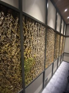 Akustilised paneelid puukoorest Forgreenerlife.com