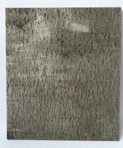 Haavapuu koorest paneel