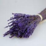 Säilitatud lavendel Forgreenerlife.com