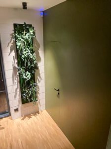 Piklik pilt taimedest ja samblikest. Forgreenerlife.com