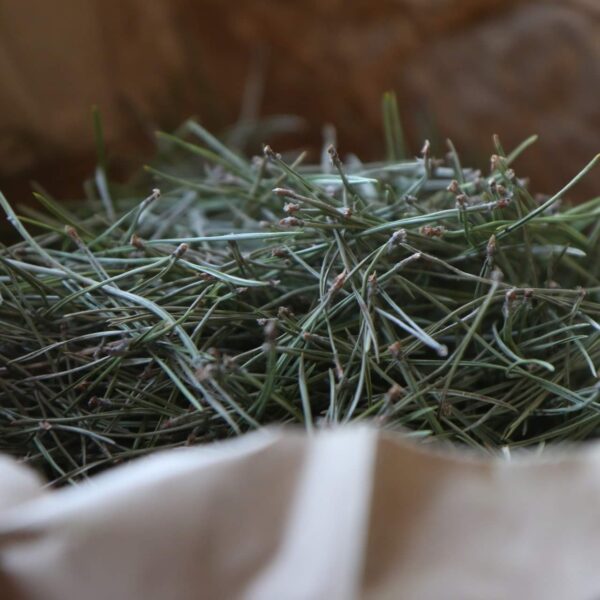 46E57136-3CBE-4F5C-8BBB-F0B51C0901EA