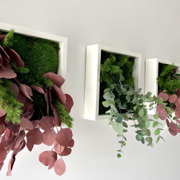 87FDA58A-AC3E-401D-9B62-C89DEAD91C0F