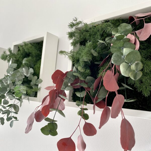 8A0CE34E-89E8-402B-9AF2-DC6FF82EB8B2