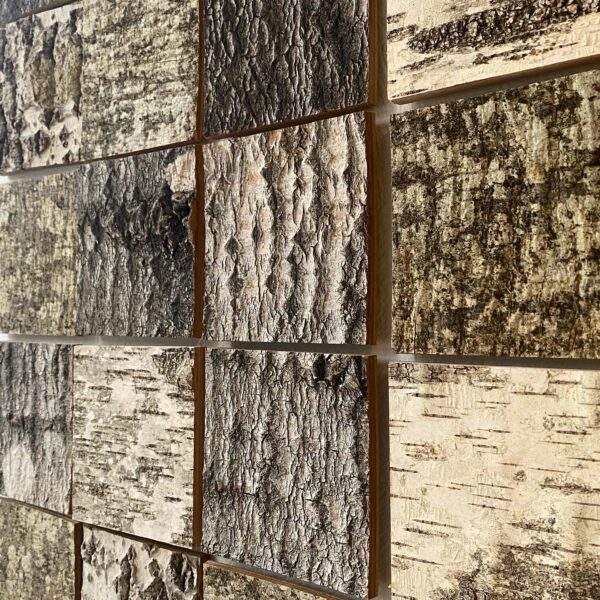 8C73EC27-A9BD-485D-B974-858DE83BC4E3