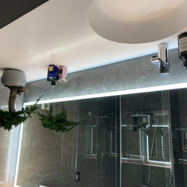 99111A8D-F731-4FC9-8FB8-2BE9B00DD22C