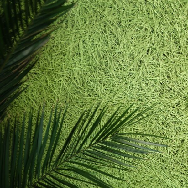 A8D440D9-FFB5-48D1-9F7D-597A39AF0BF3