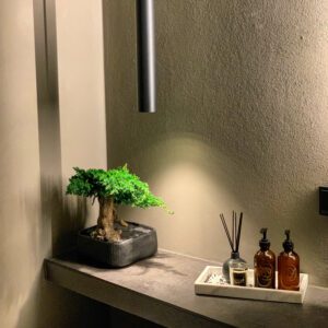 Säilitatud puud. Forgreenerlife.com