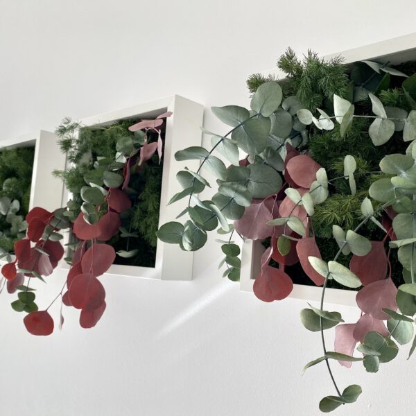 DCCB5848-3855-4436-A68D-F957DFA597AA