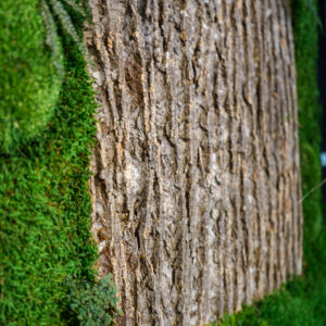 Samblast ja puidukoorest seinapilt . Forgreenerlife seinapaneelid