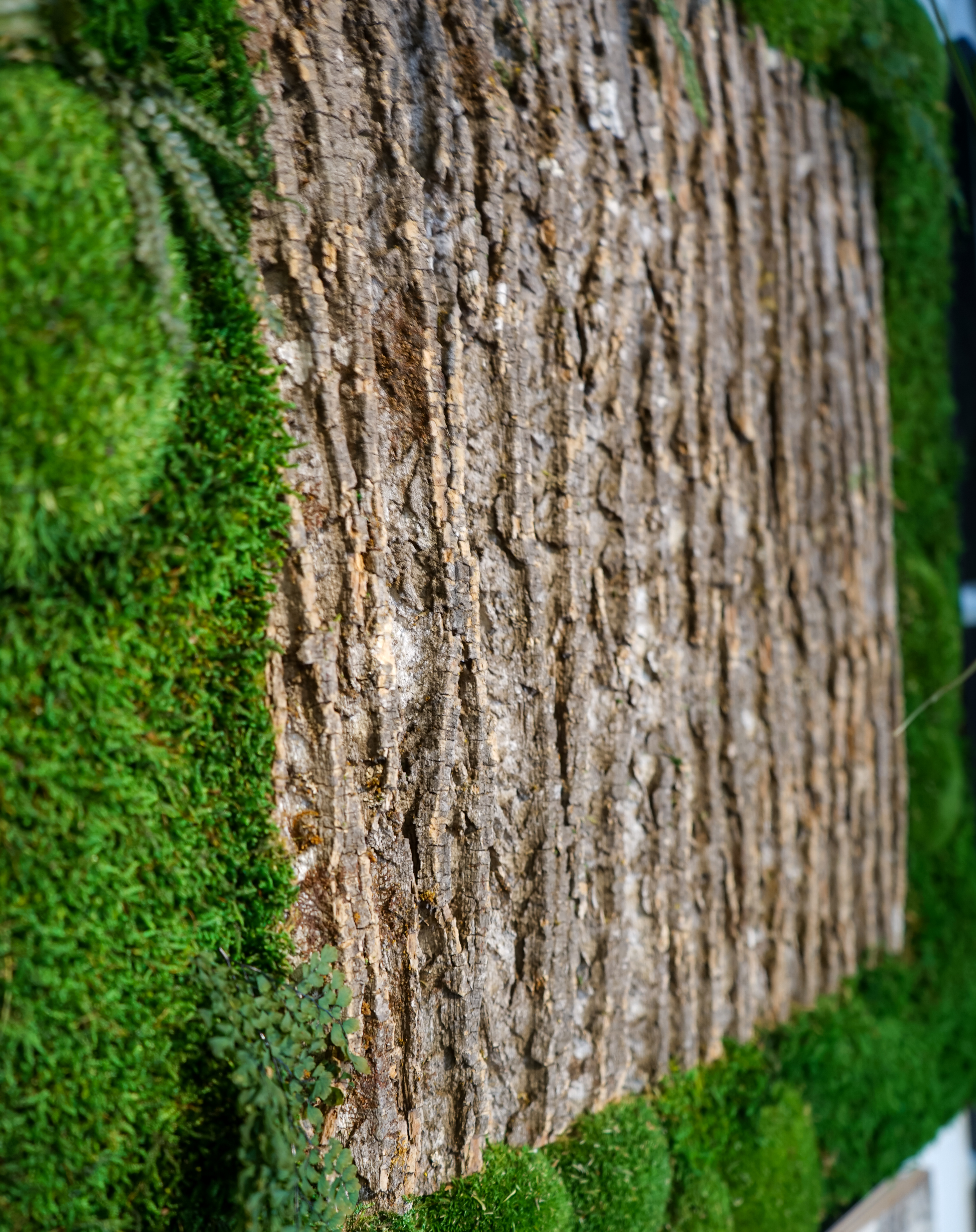 Samblast ja puidukoorest seinapilt . Forgreenerlife seinapaneelid