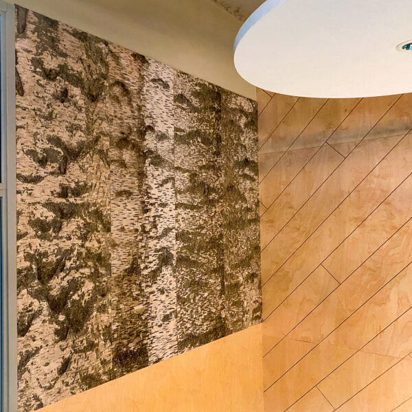 Eesti Energia kasetohusein