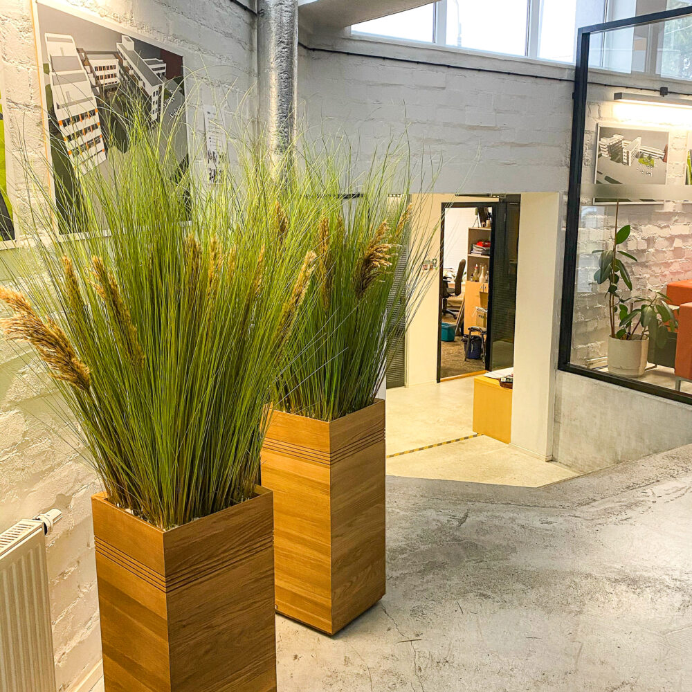 Kõrrelised tammepotis