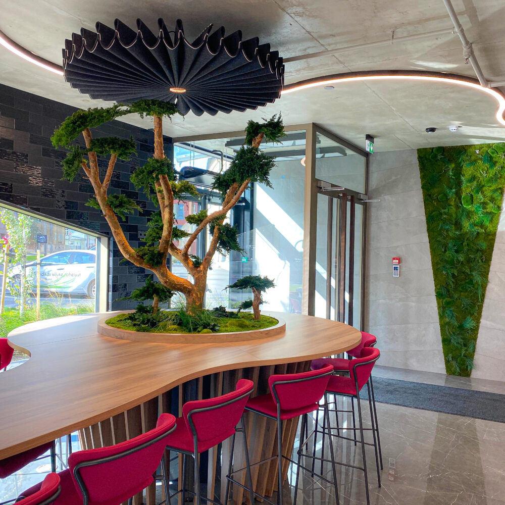 Säilitatud puud. Eritellimus. Forgreenerlife.com