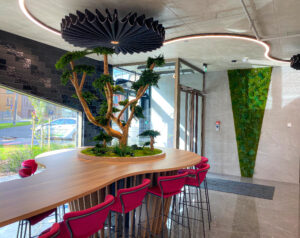 Säilitatud puud. Eritellimus. Forgreenerlife.com