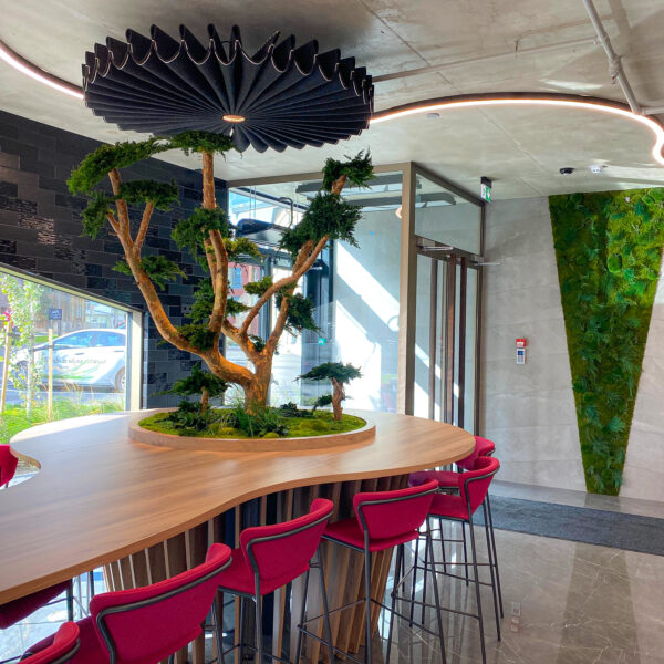 Säilitatud puud. Eritellimus. Forgreenerlife.com