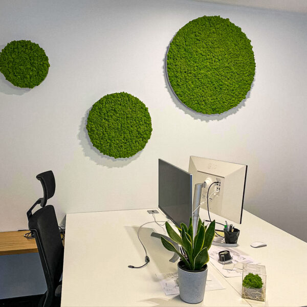 samblapilt kontorisse