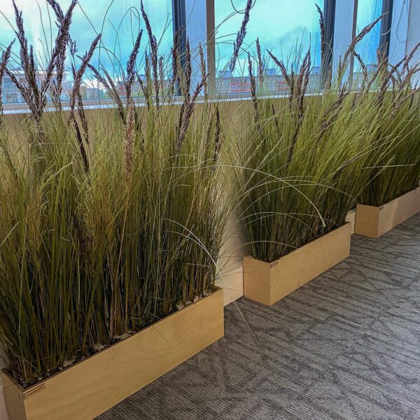 Taimede ja kõrreliste kastid. Kunst ja säilitatud taimed. Forgreenerlife.com