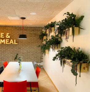 Taimede ja kõrreliste kastid. Kunst ja säilitatud taimed. Forgreenerlife.com