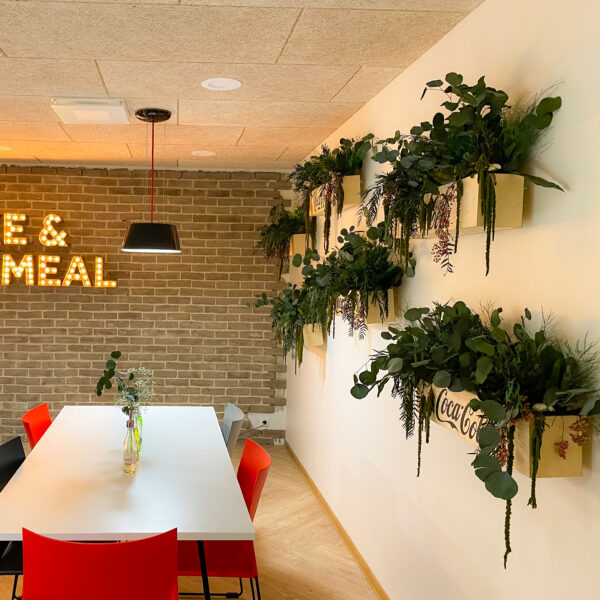 Taimede ja kõrreliste kastid. Kunst ja säilitatud taimed. Forgreenerlife.com