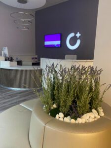 Taimede ja kõrreliste kastid. Kunst ja säilitatud taimed. Forgreenerlife.com