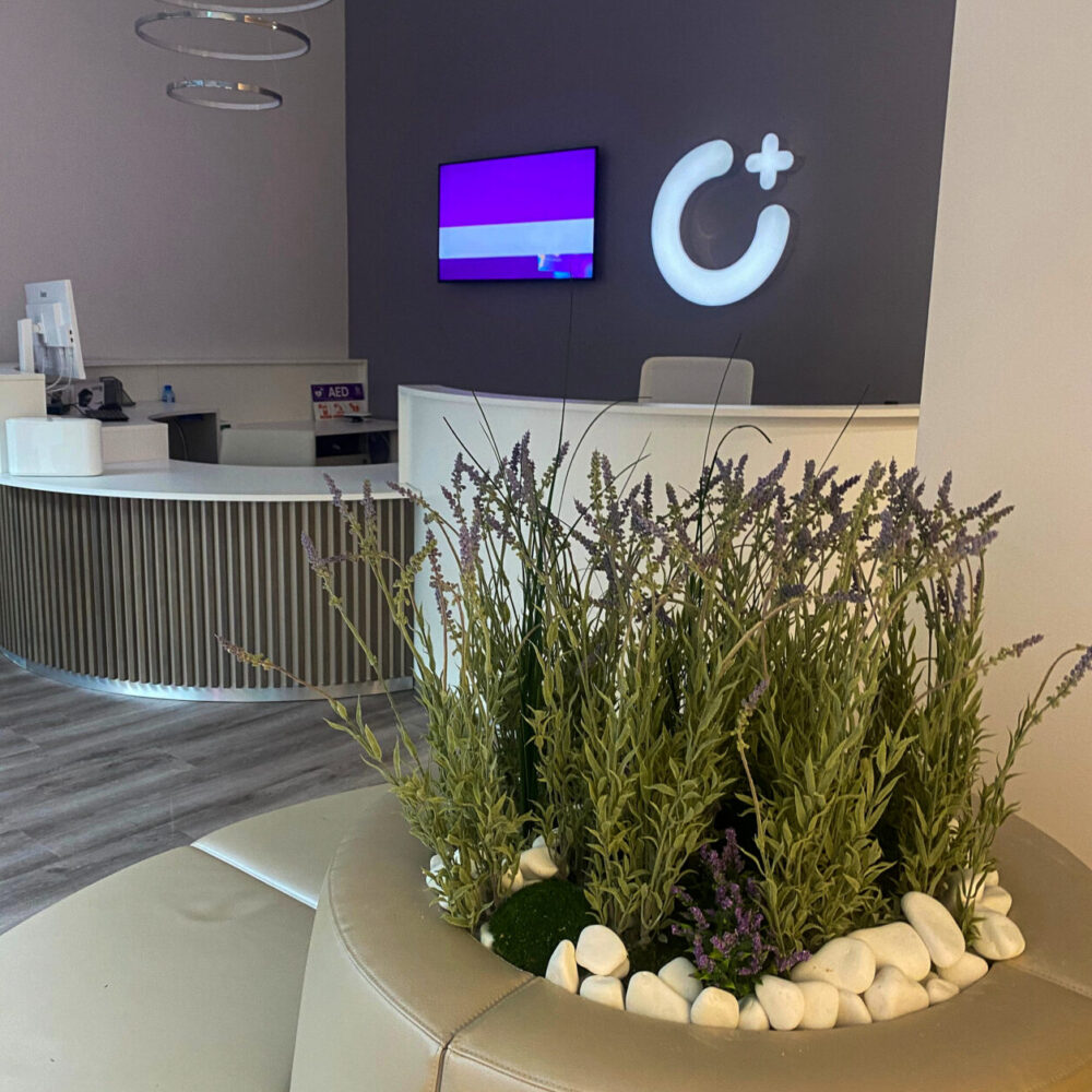 Taimede ja kõrreliste kastid. Kunst ja säilitatud taimed. Forgreenerlife.com