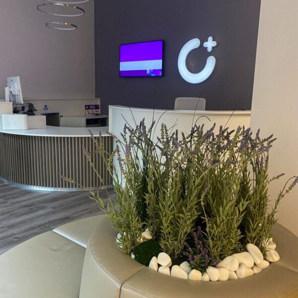 Taimede ja kõrreliste kastid. Kunst ja säilitatud taimed. Forgreenerlife.com