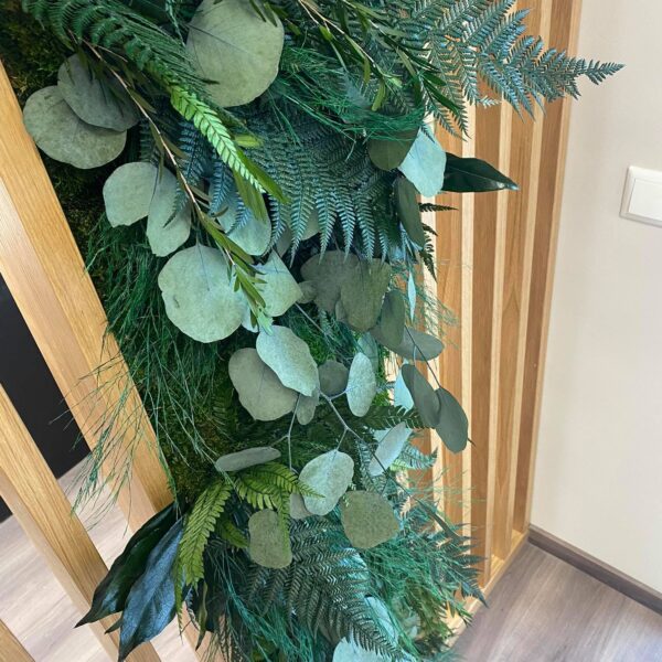 taimesein kontorisse