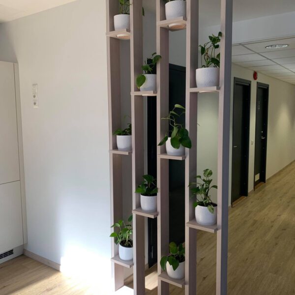 Kontorisse taimed ja rohelus. Taimeseinad, Taimekastid, Elusad, säilitatud ja kunsttaimed. Forgreenerlife.com